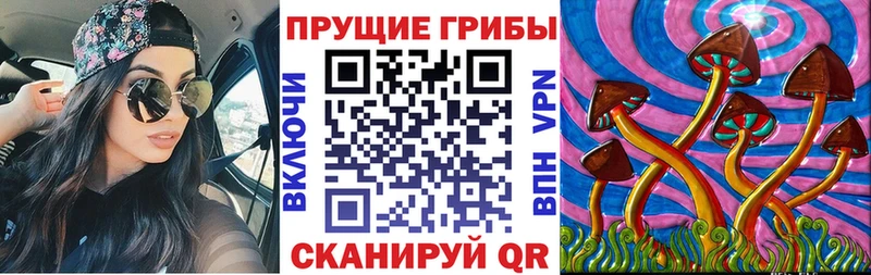 Псилоцибиновые грибы Psilocybe  как найти   Белореченск 